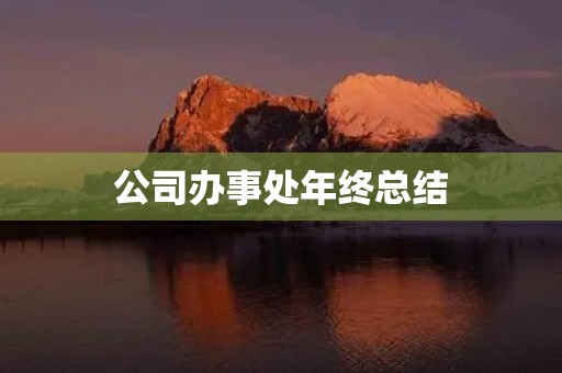 公司办事处年终总结