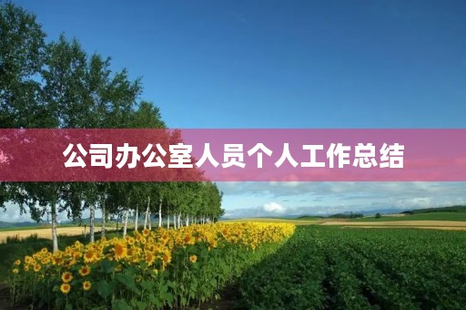 公司办公室人员个人工作总结