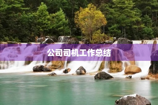 公司司机工作总结
