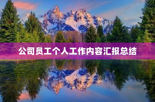 公司员工个人工作内容汇报总结