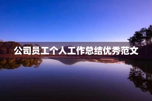 公司员工个人工作总结优秀范文
