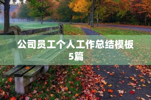 公司员工个人工作总结模板5篇