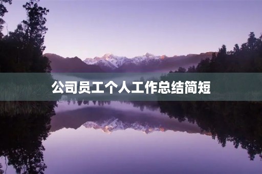 公司员工个人工作总结简短