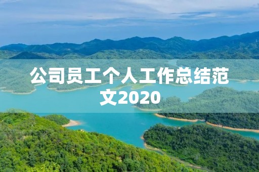 公司员工个人工作总结范文2020