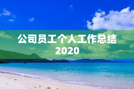 公司员工个人工作总结2020
