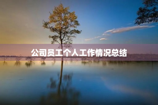 公司员工个人工作情况总结