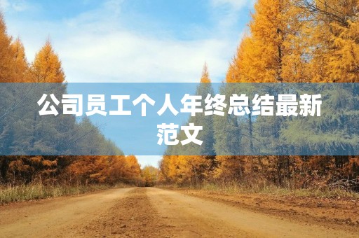 公司员工个人年终总结最新范文 公司员工个人年终总结最新范文