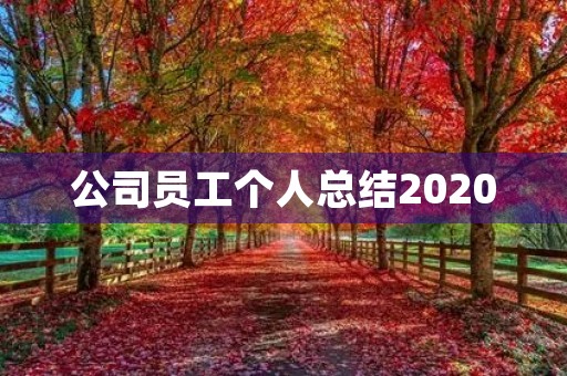 公司员工个人总结2020