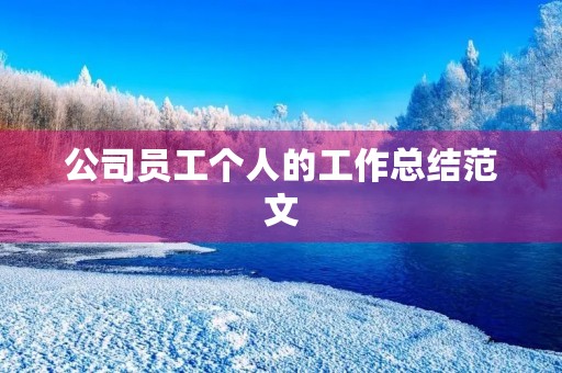 公司员工个人的工作总结范文