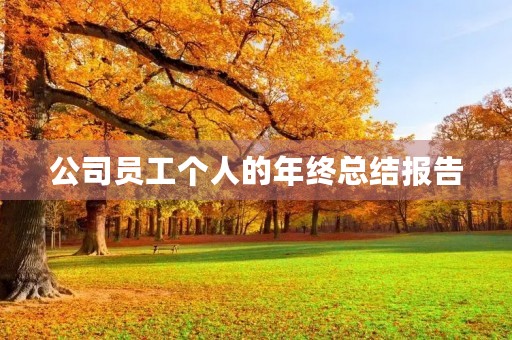 公司员工个人的年终总结报告