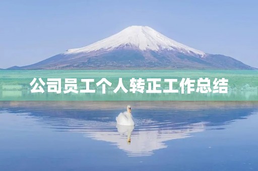 公司员工个人转正工作总结