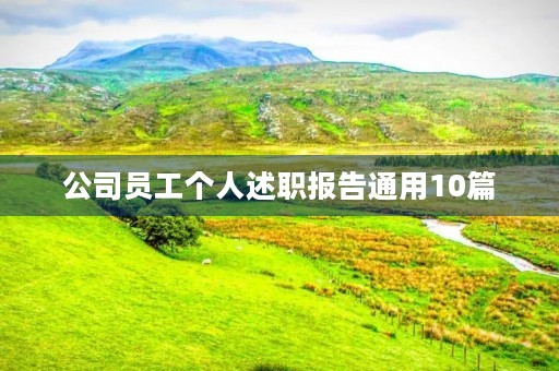 公司员工个人述职报告通用10篇