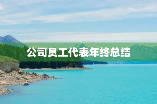 公司员工代表年终总结 公司员工代表年终总结