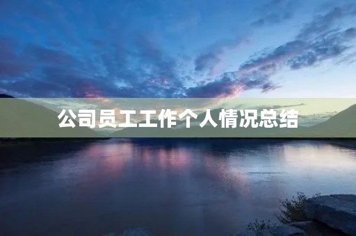 公司员工工作个人情况总结