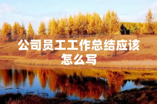 公司员工工作总结应该怎么写