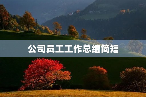 公司员工工作总结简短