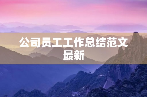 公司员工工作总结范文最新