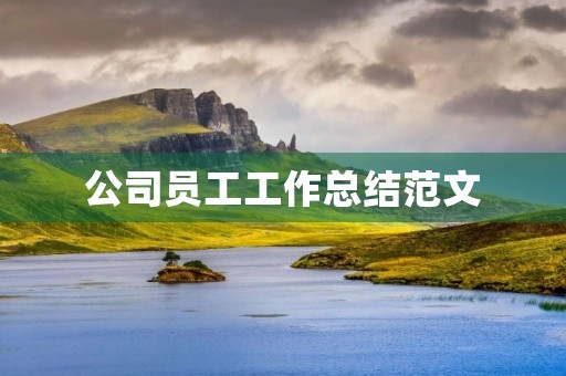 公司员工工作总结范文