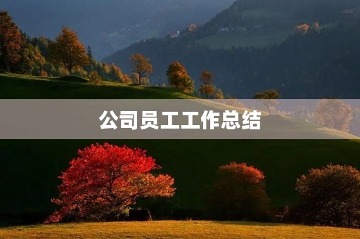公司员工工作总结（实用）