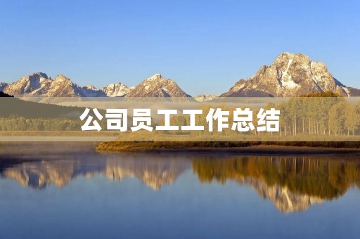 公司员工工作总结