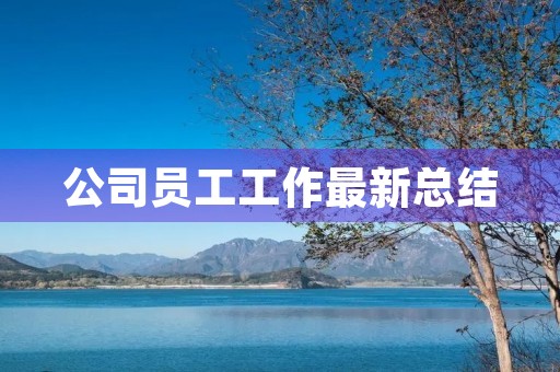 公司员工工作最新总结