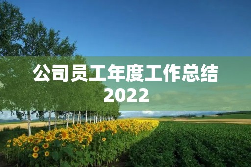 公司员工年度工作总结2022