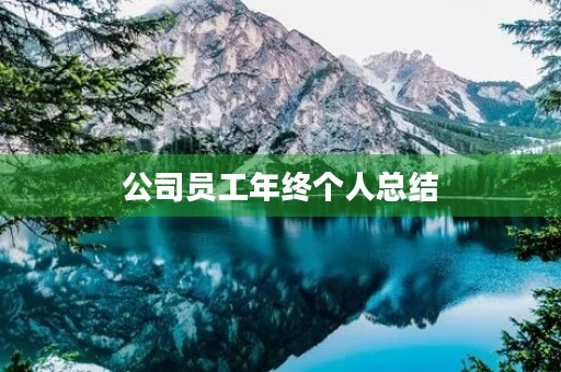 公司员工年终个人总结(13篇)