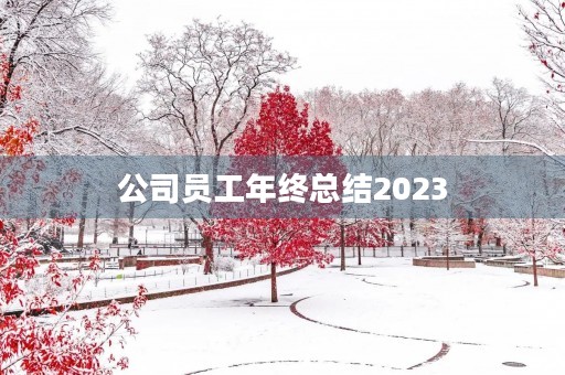 公司员工年终总结2023