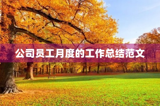 公司员工月度的工作总结范文