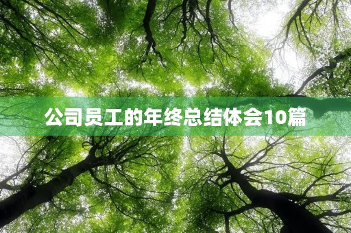公司员工的年终总结体会10篇