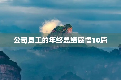 公司员工的年终总结感悟10篇