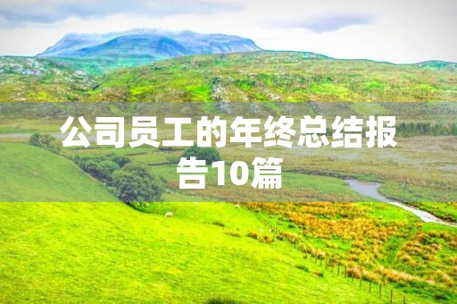 公司员工的年终总结报告10篇
