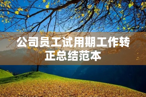 公司员工试用期工作转正总结范本