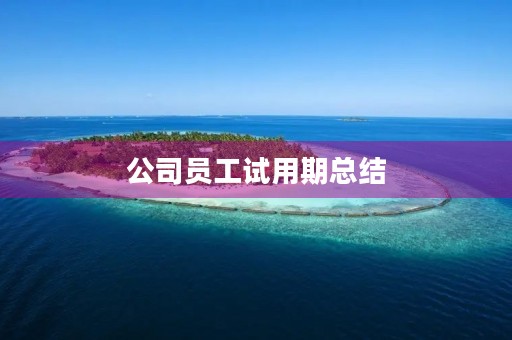 公司员工试用期总结