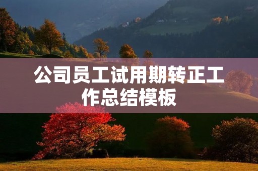 公司员工试用期转正工作总结模板（10篇）