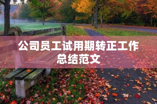 公司员工试用期转正工作总结范文