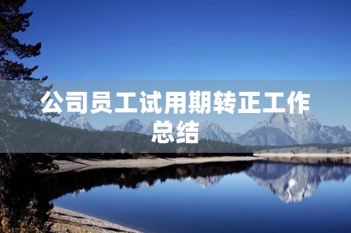 公司员工试用期转正工作总结