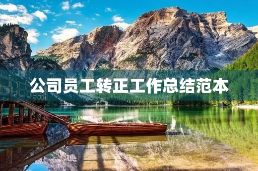 公司员工转正工作总结范本