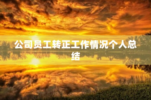 公司员工转正工作情况个人总结