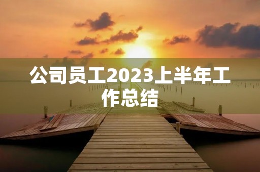 公司员工2023上半年工作总结