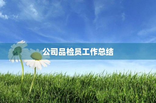 公司品检员工作总结