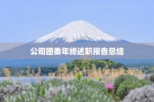 公司团委年终述职报告总结