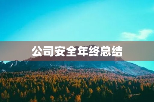 公司安全年终总结