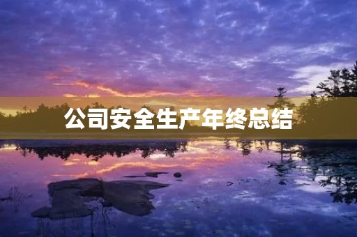 公司安全生产年终总结