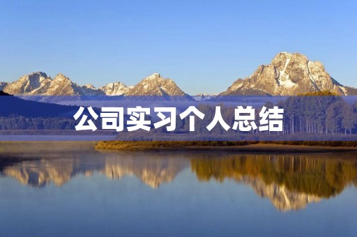 公司实习个人总结 公司实习个人总结