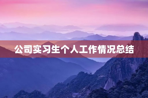 公司实习生个人工作情况总结