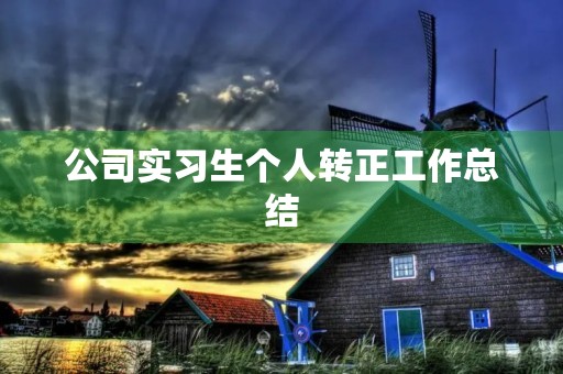公司实习生个人转正工作总结