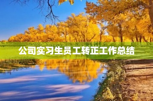 公司实习生员工转正工作总结