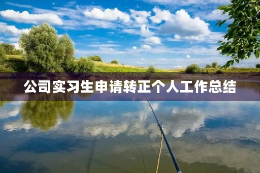 公司实习生申请转正个人工作总结