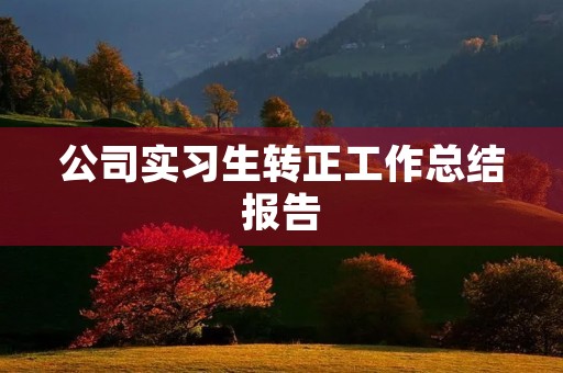 公司实习生转正工作总结报告
